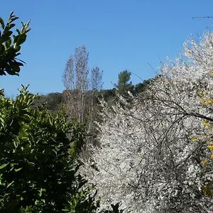 Dom L' Argo Séjour chez l'habitant